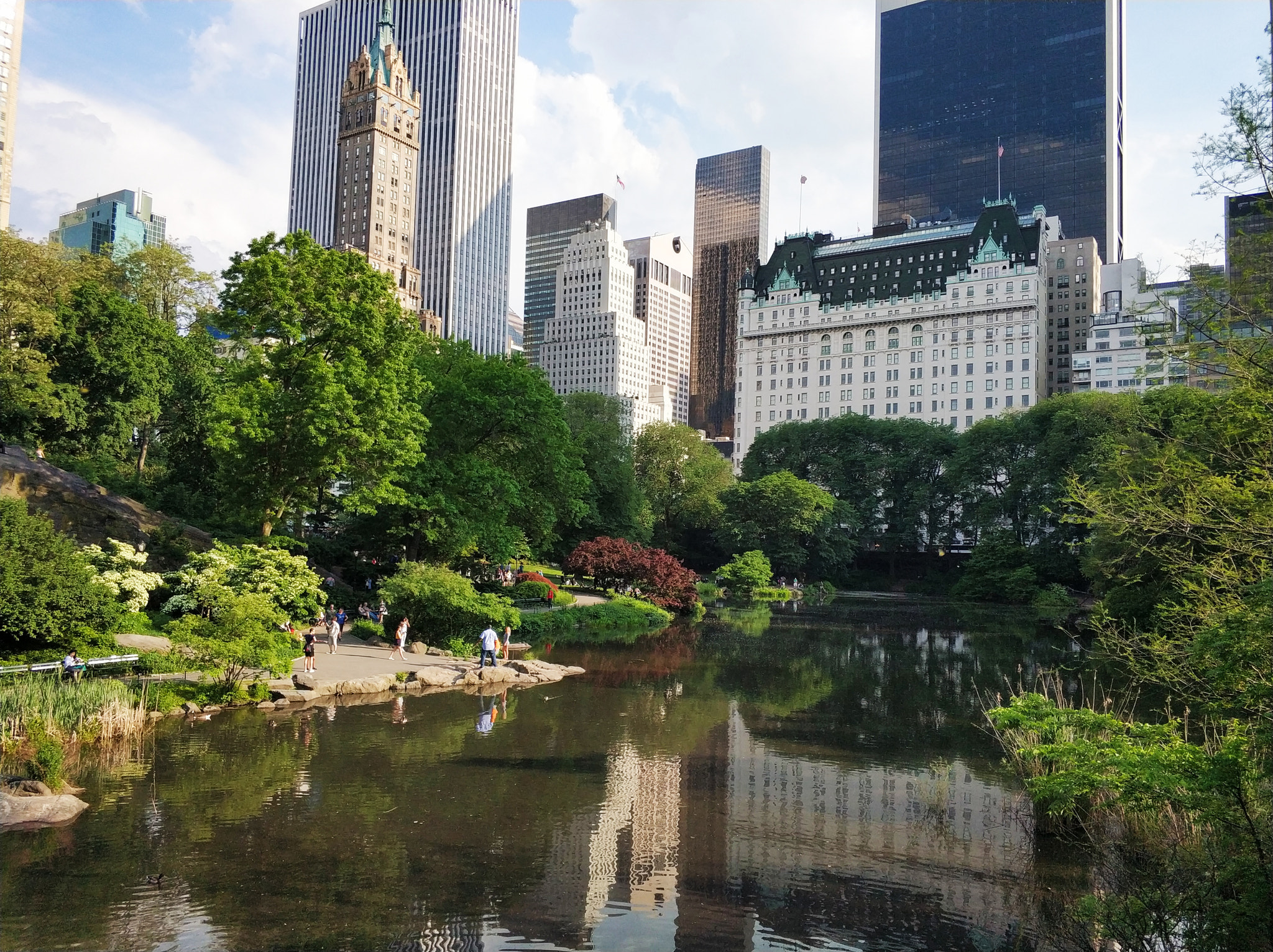 Xiaomi MI6 sample photo. Central park photography