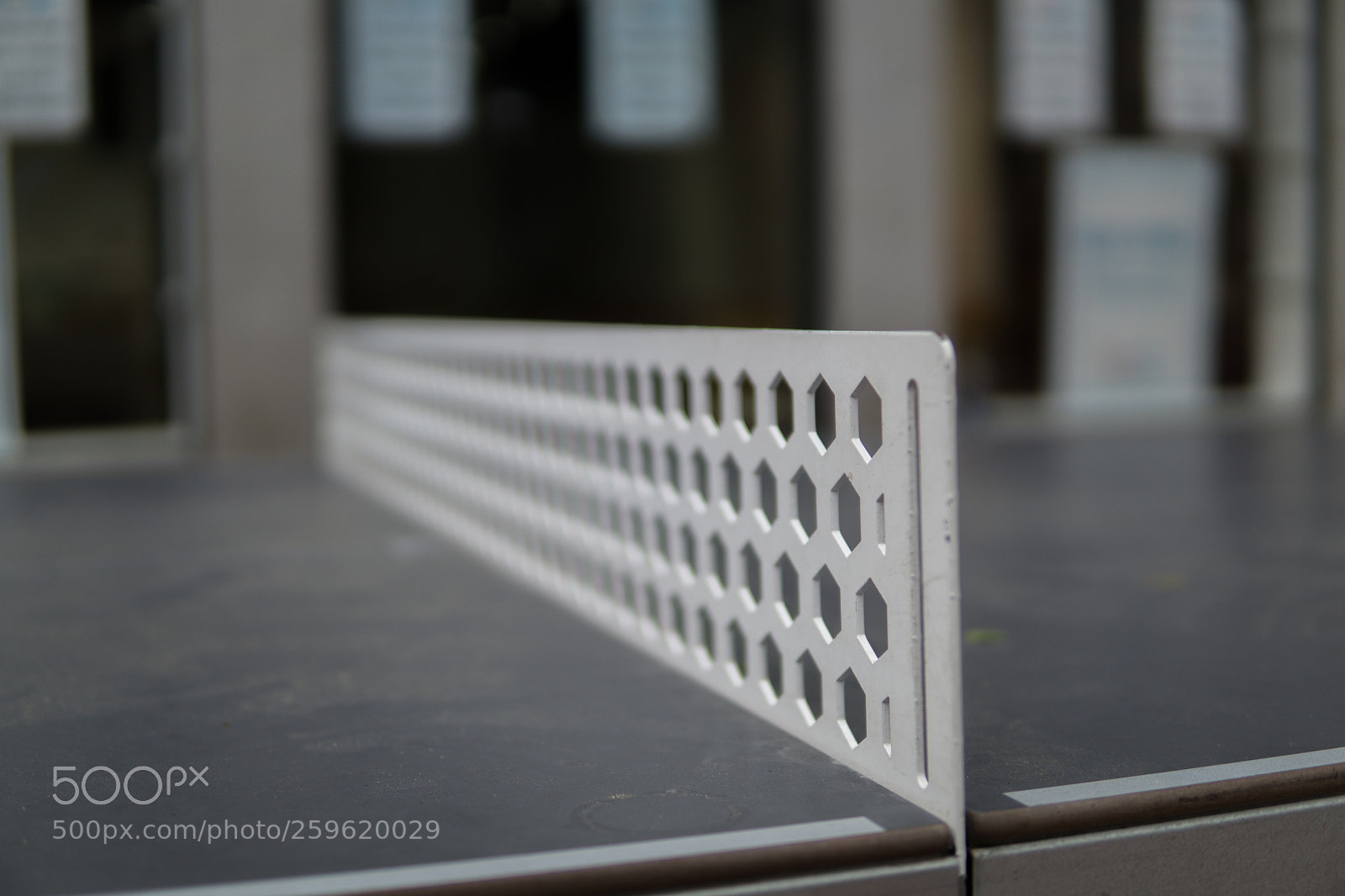 Sony a6000 sample photo. Dsc photography