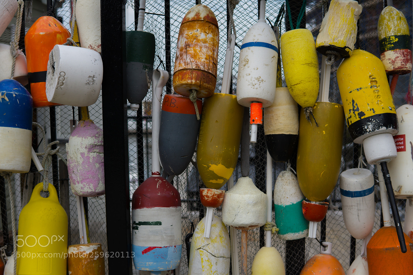 Sony a6000 sample photo. Dsc photography