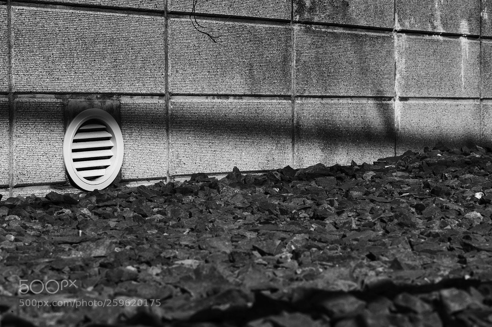 Canon EOS-1D X sample photo. The world of black photography