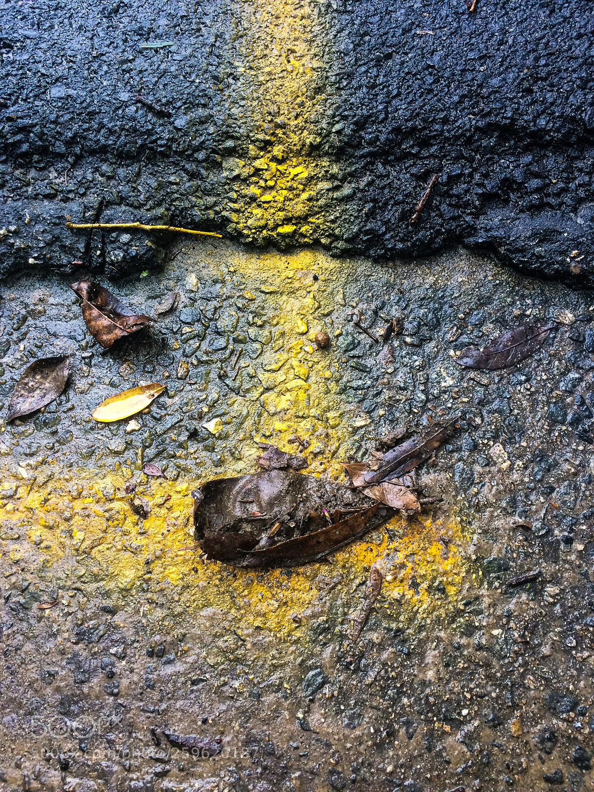 Apple iPhone 5s sample photo. Spray painted road photography