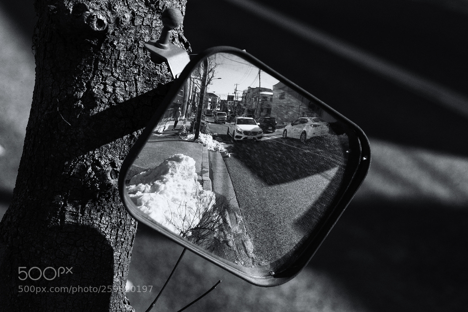 Canon EOS-1D X sample photo. The world of black photography