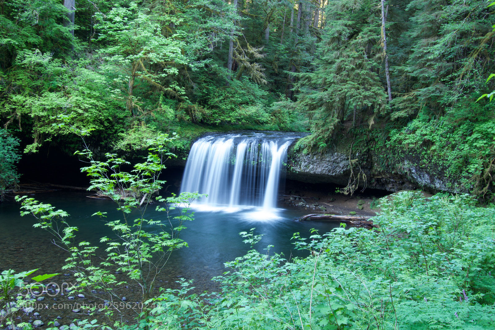 Nikon D3400 sample photo. Butte creek falls photography