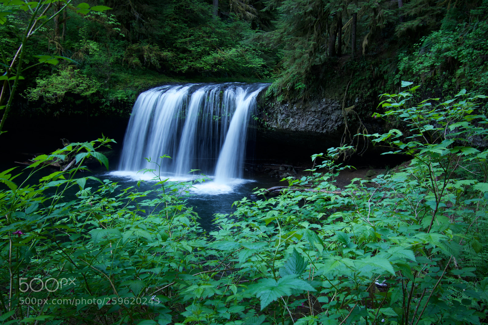 Nikon D3400 sample photo. Butte creek falls photography