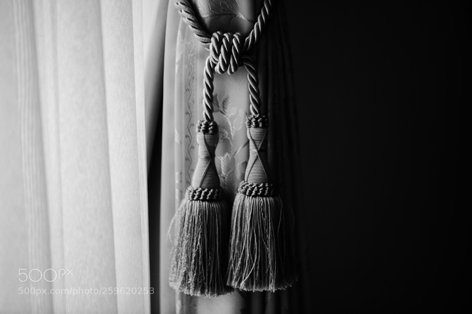Canon EOS 5D Mark II sample photo. The world of black photography