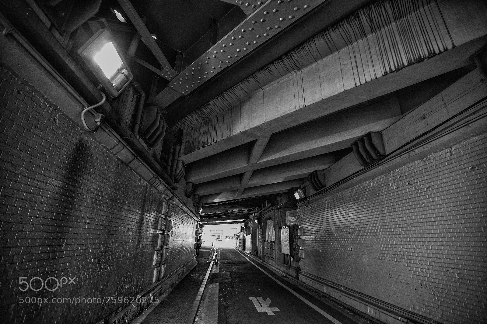 Canon EOS-1D X sample photo. The world of black photography