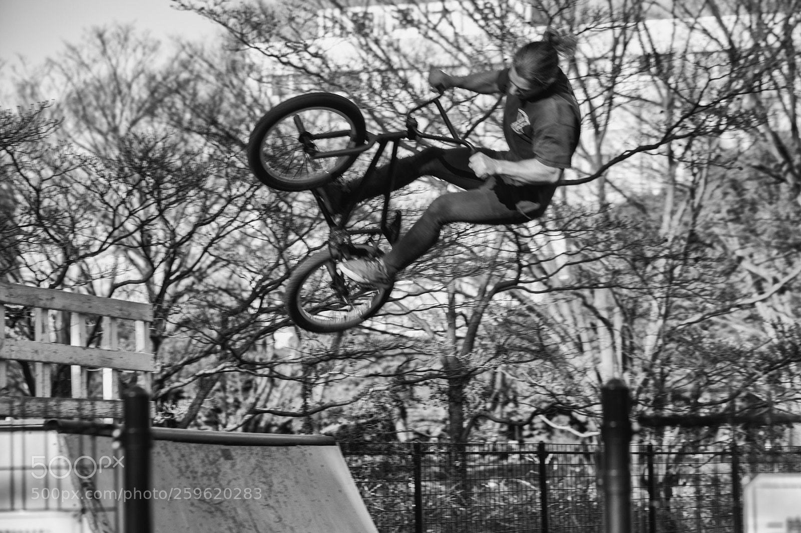 Canon EOS 5D Mark II sample photo. The world of black photography