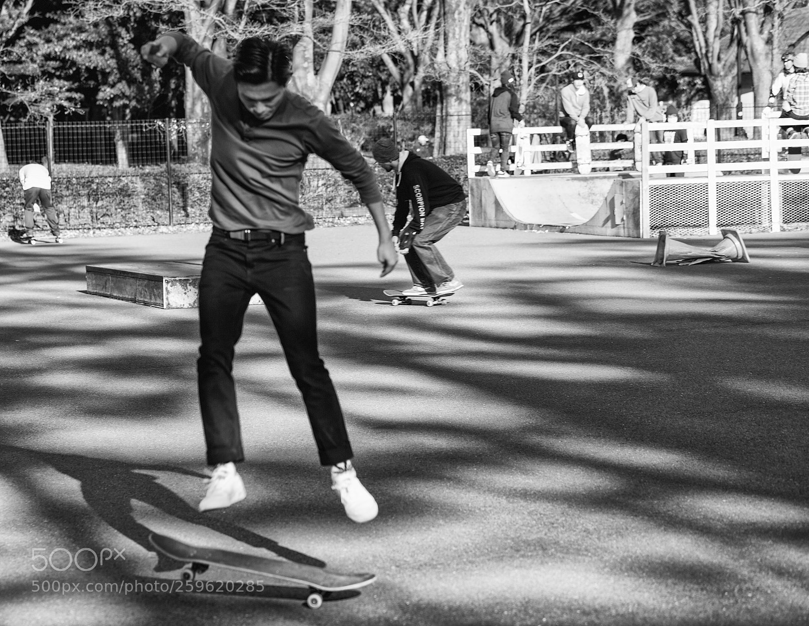 Canon EOS 5D Mark II sample photo. The world of black photography