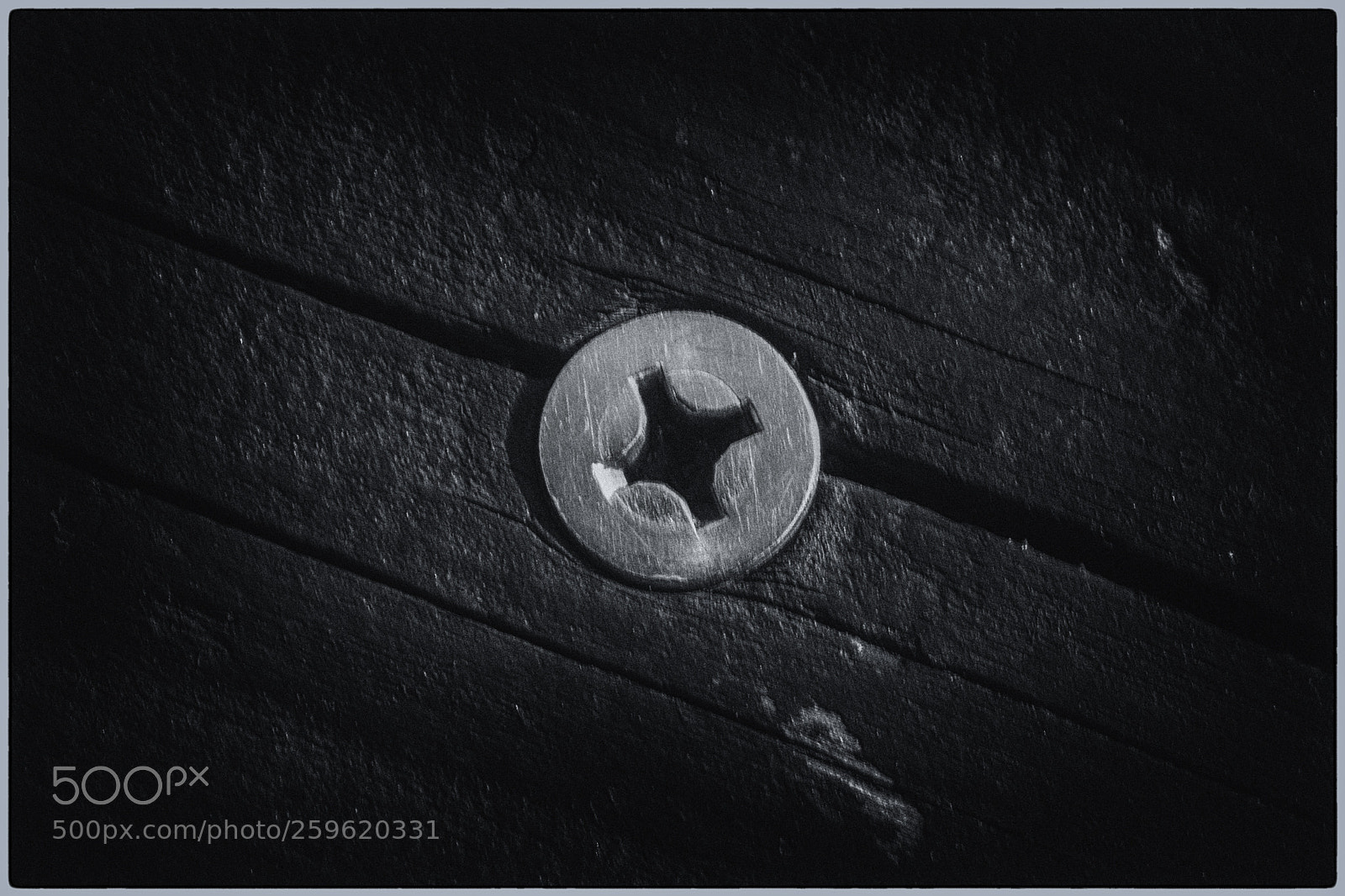 Canon EOS 5D Mark II sample photo. The world of black photography