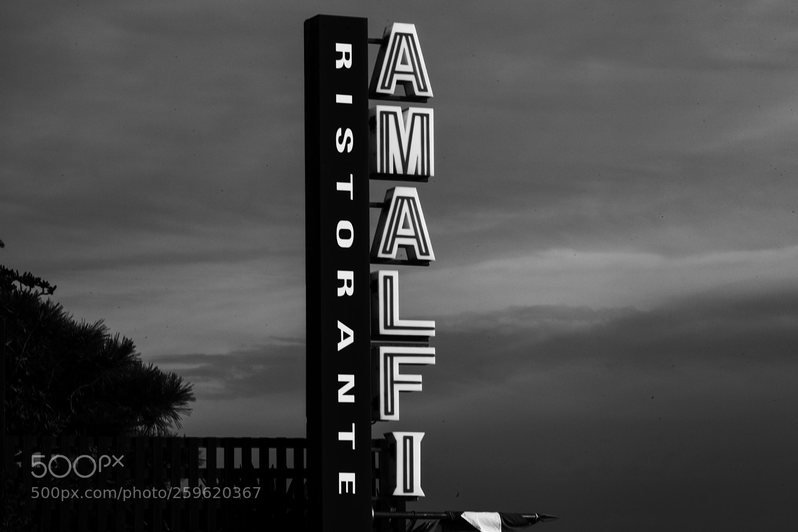 Canon EOS 5D Mark II sample photo. The world of black photography