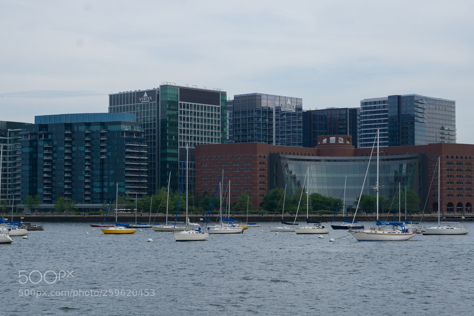 Sony a6000 sample photo. Dsc photography