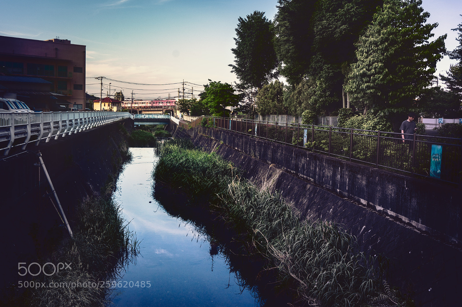 Sony a7 II sample photo. River train photography