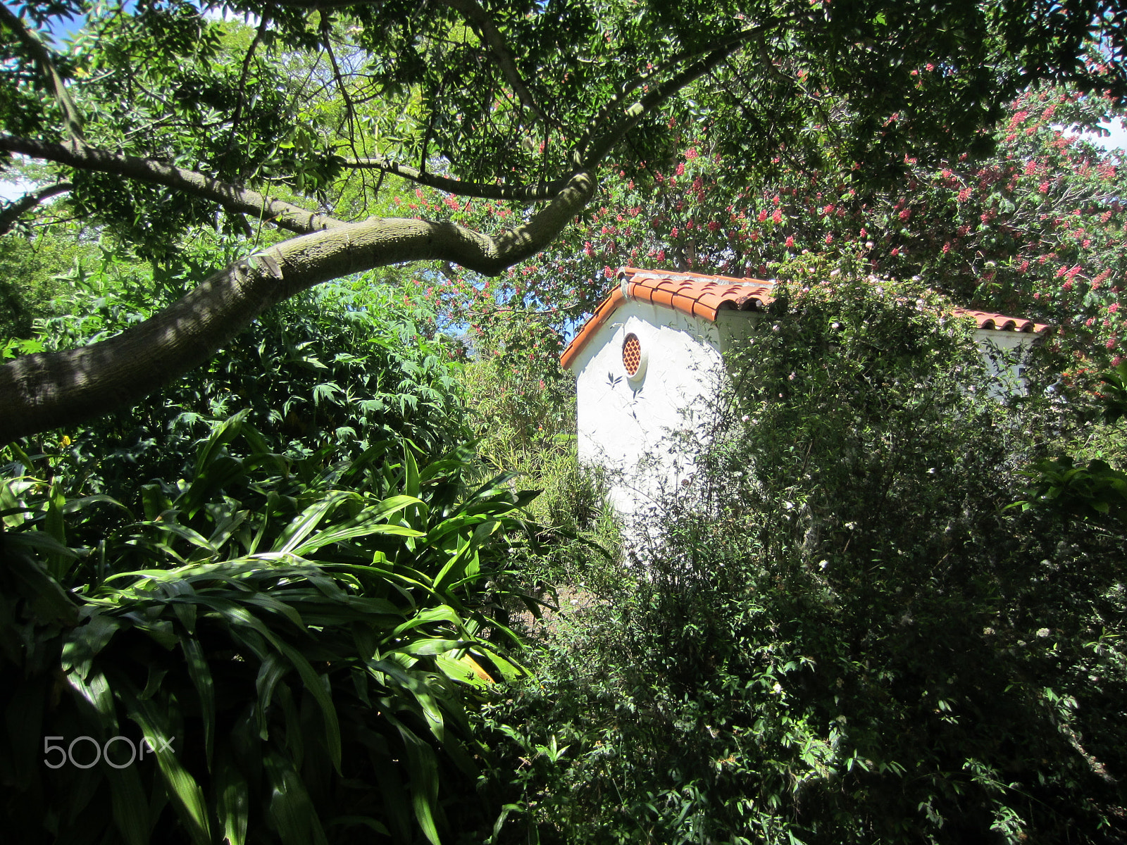 Canon PowerShot ELPH 300 HS (IXUS 220 HS / IXY 410F) sample photo. Mysecretspot photography