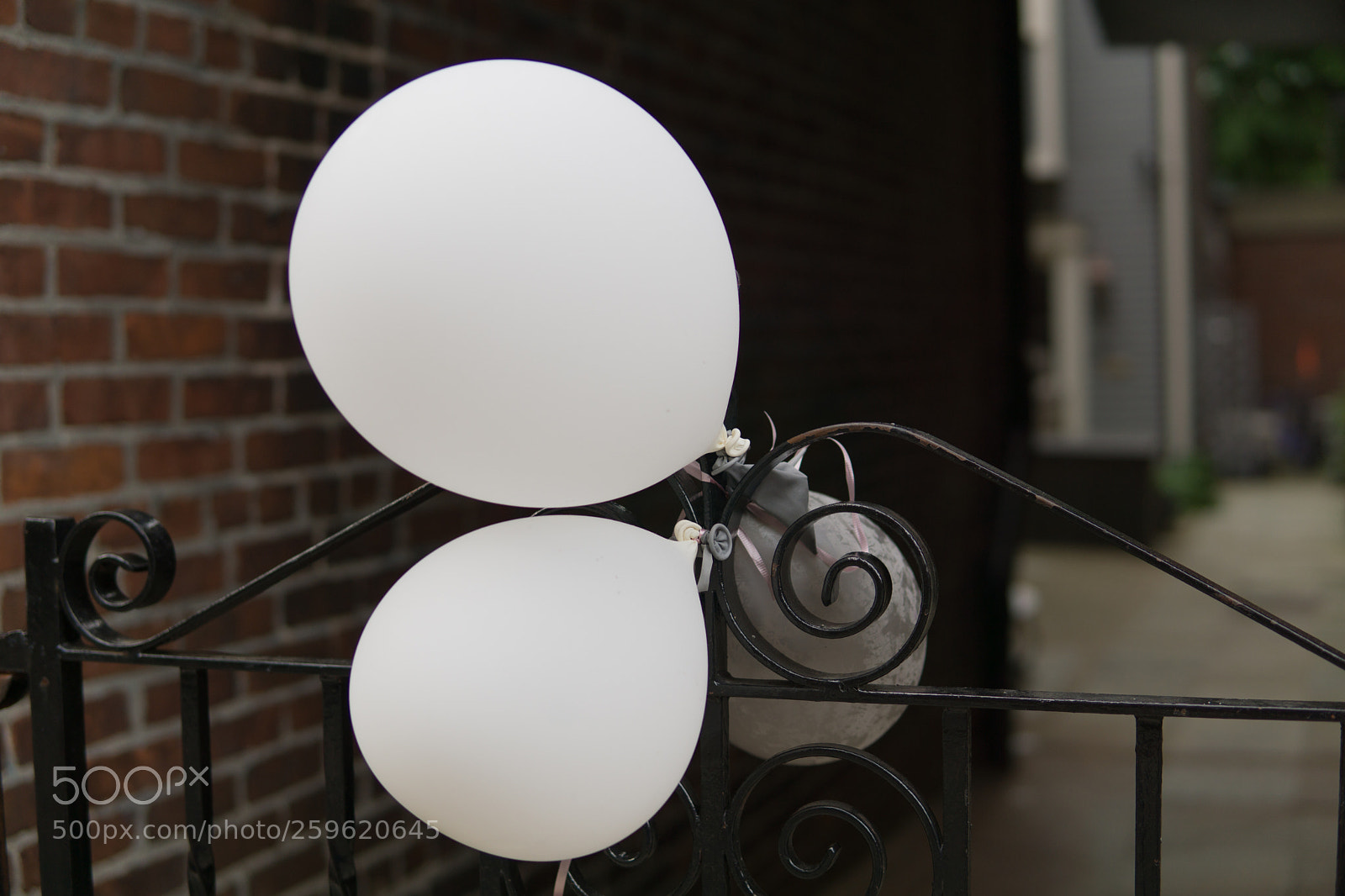Sony a6000 sample photo. Dsc photography