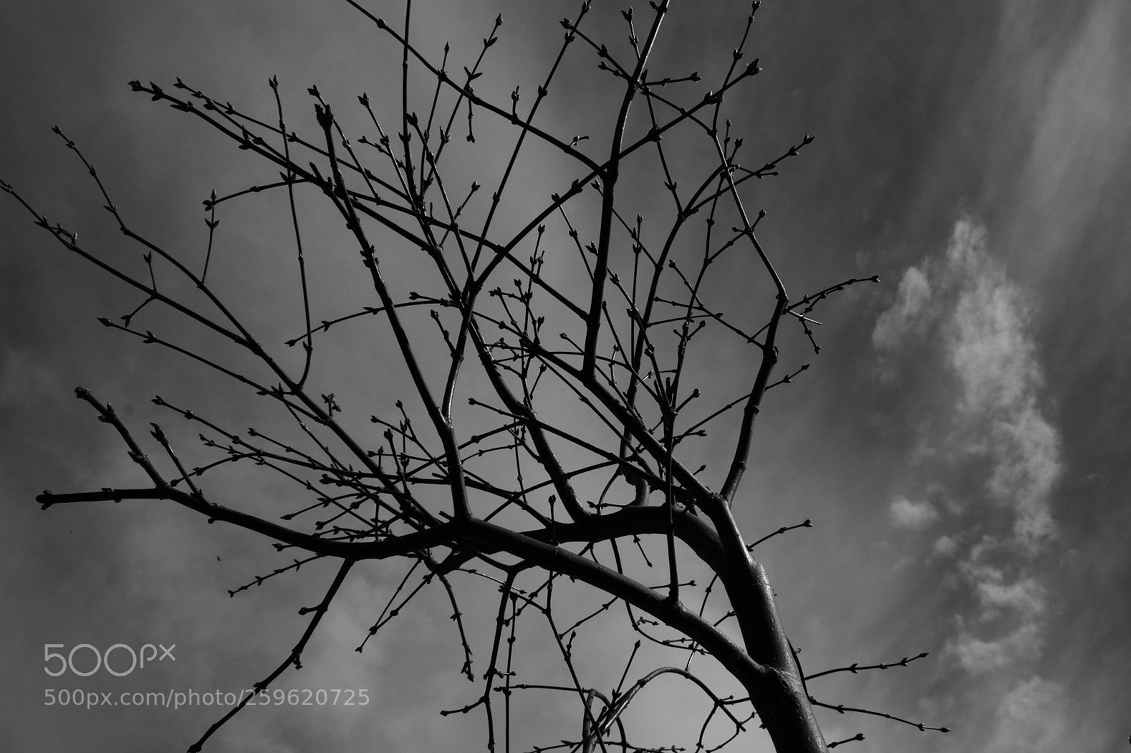 Canon EOS 70D sample photo. 2016048 photography
