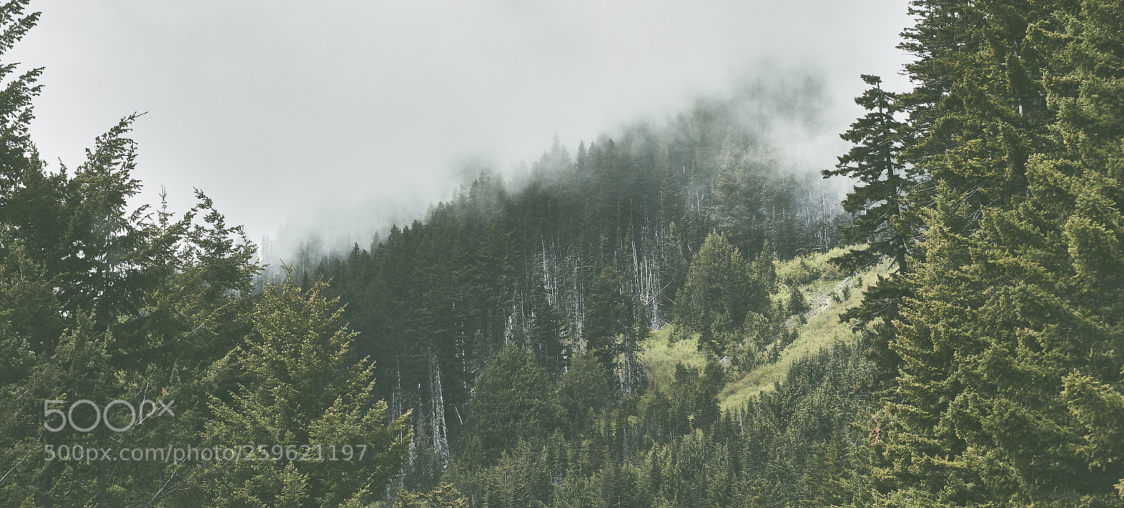Canon EOS 7D Mark II sample photo. Port angeles and mountains photography
