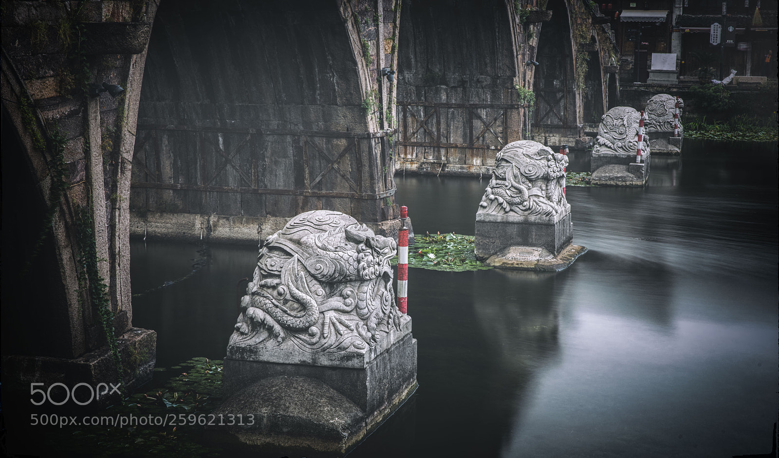 Canon EOS 5D Mark IV sample photo. 塘栖.余杭 photography