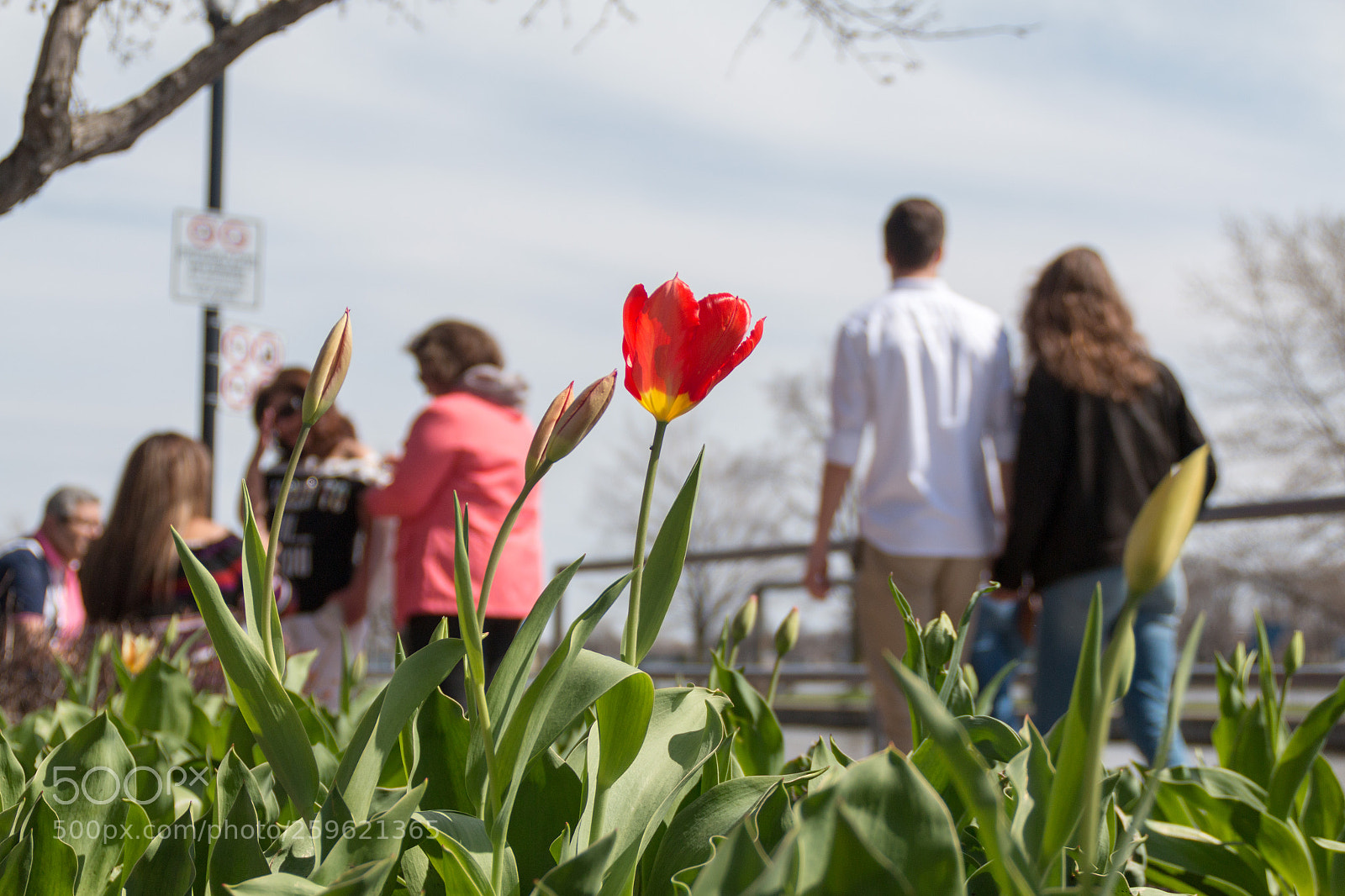 Canon EOS 70D sample photo. Img photography