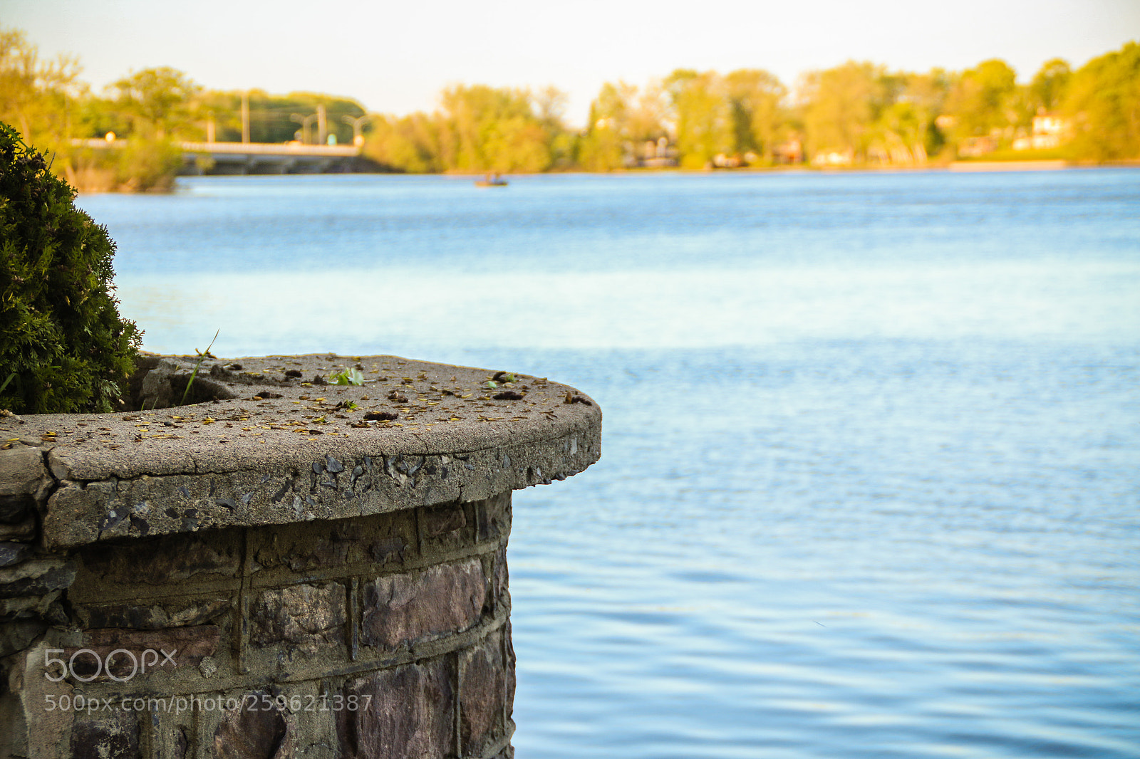 Canon EOS 70D sample photo. Img photography