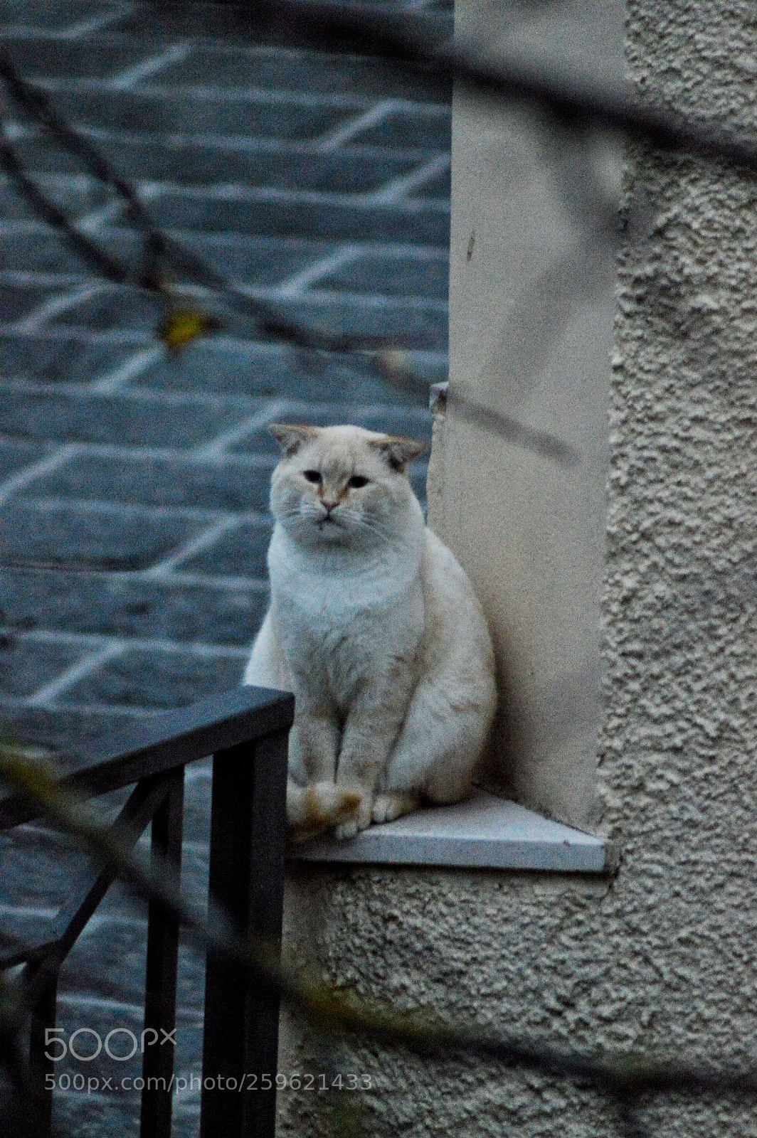 Nikon D3200 sample photo. Untitled photography