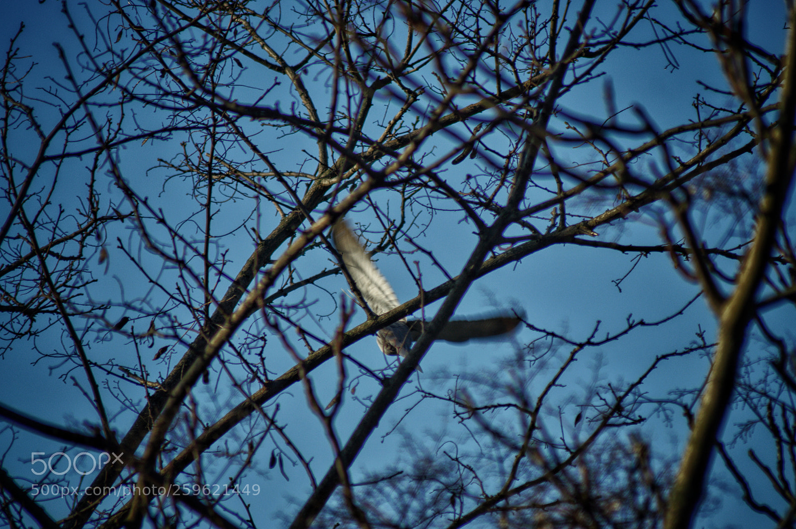 Nikon D3200 sample photo. Untitled photography