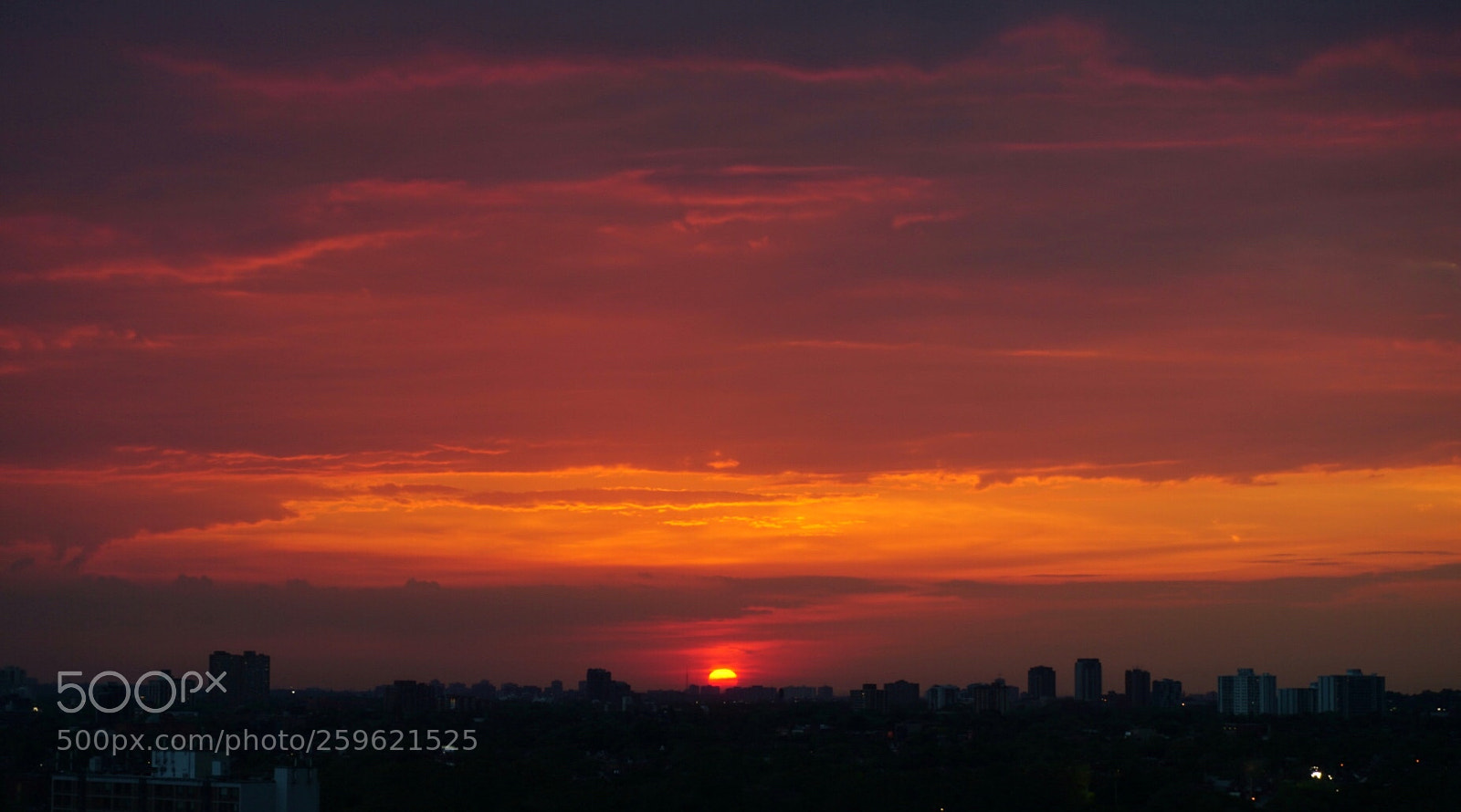 Sony a6000 sample photo. Orange/gold photography