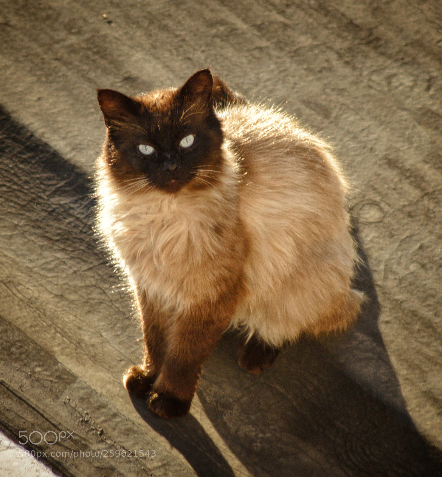 Nikon D3200 sample photo. Untitled photography