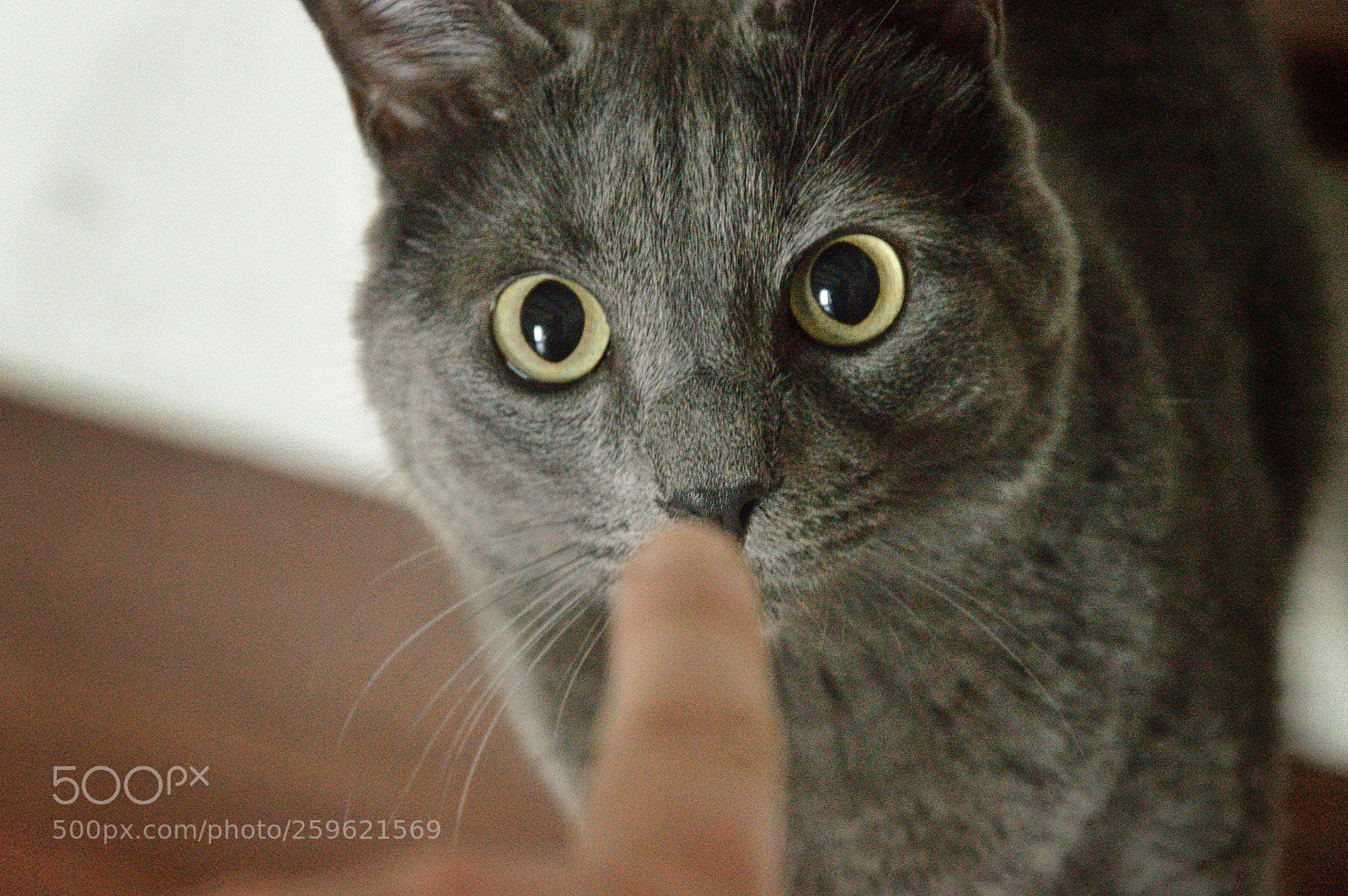 Nikon D3200 sample photo. Untitled photography