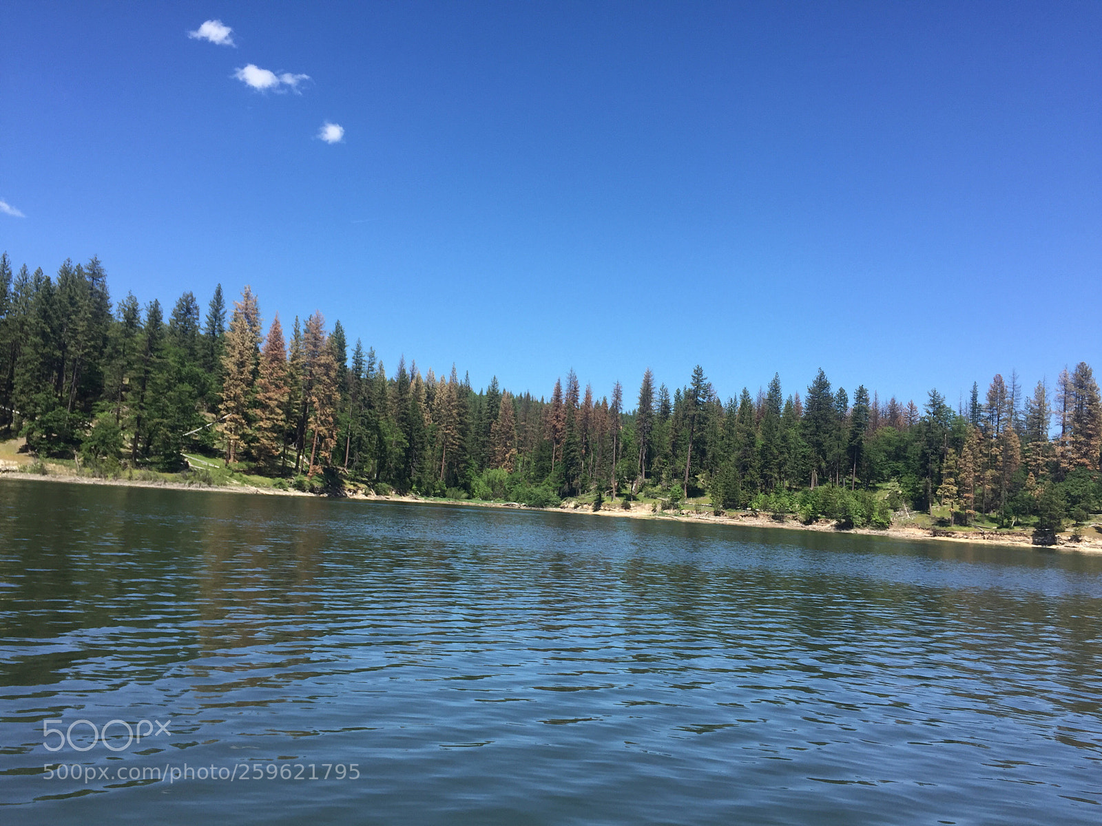 Apple iPhone 6 sample photo. Lake photography