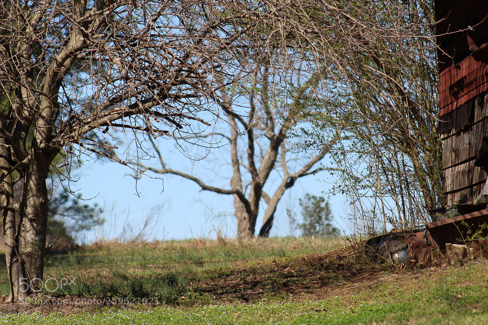 Canon EF 75-300mm f/4-5.6 sample photo. In the distance photography