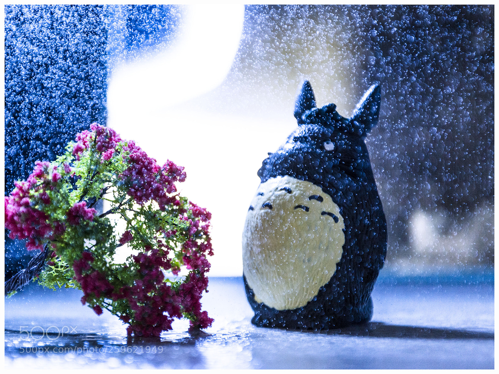 Nikon D7100 sample photo. 等雨停 photography