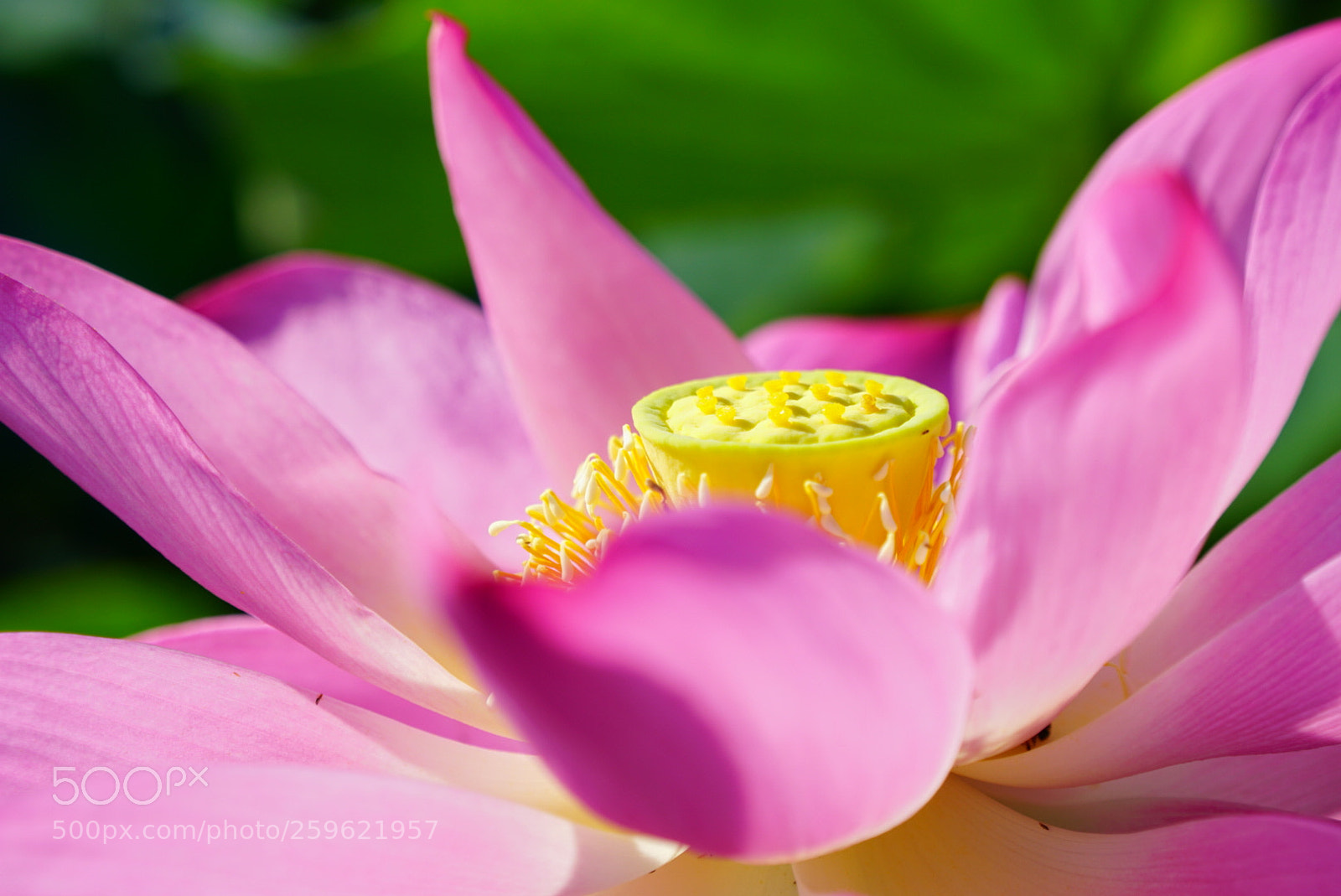 Sony a6300 sample photo. Untitled photography