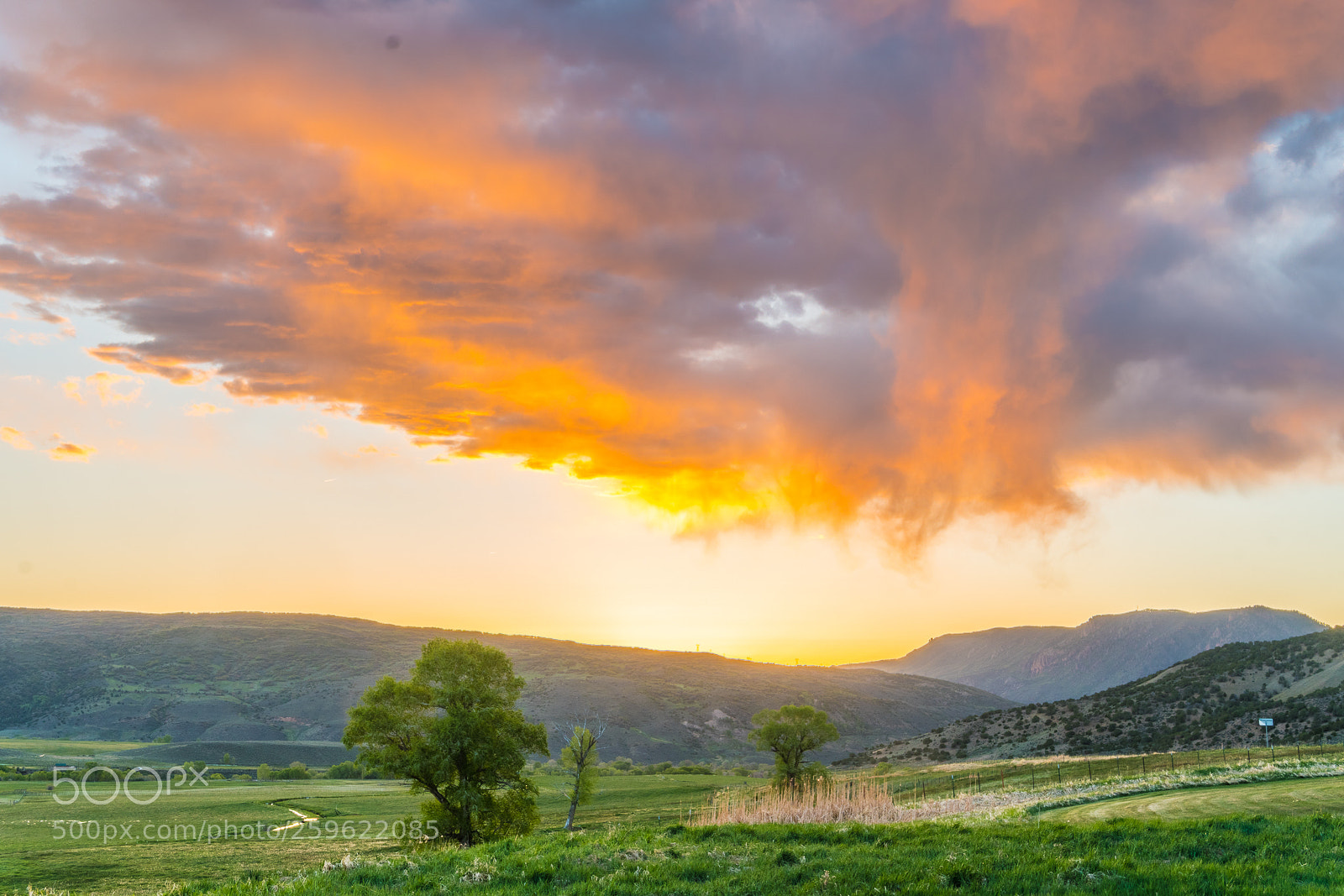 Sony a6300 sample photo. 20180523_0042.jpg photography