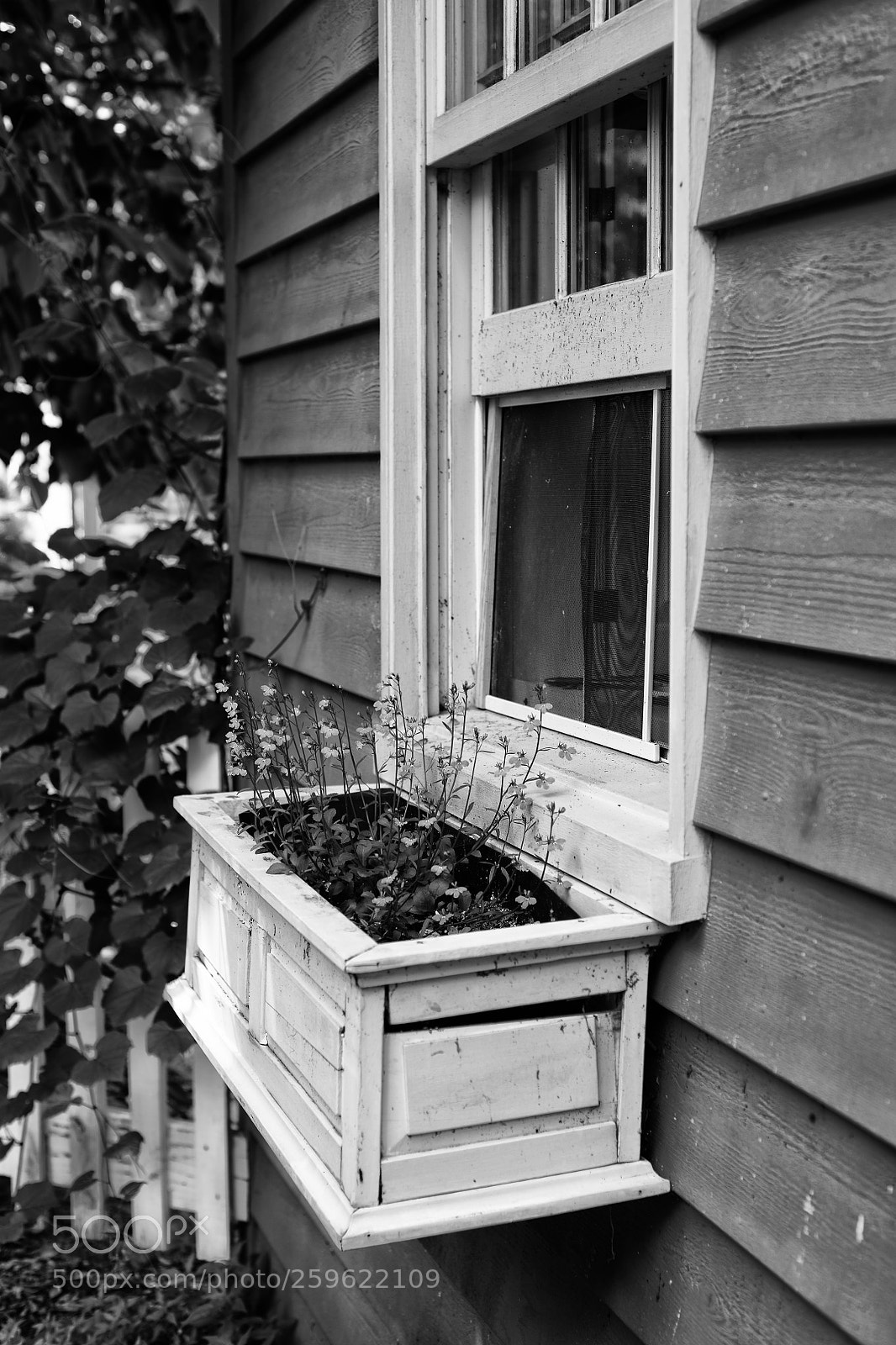 Nikon D850 sample photo. Waterford virginia loudoun county photography