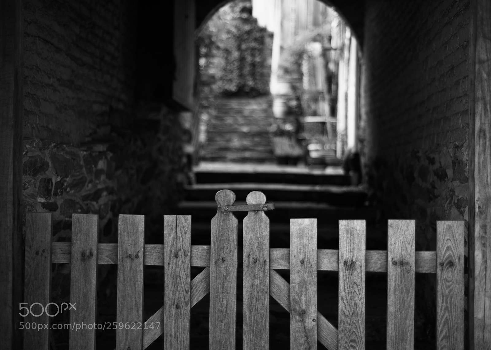 Nikon D850 sample photo. Waterford virginia loudoun county photography