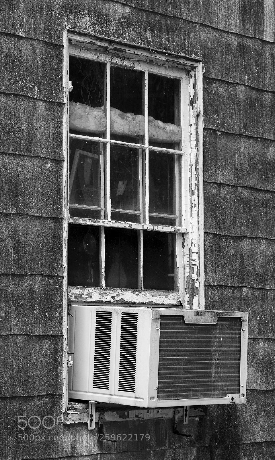 Nikon D850 sample photo. Waterford virginia loudoun county photography