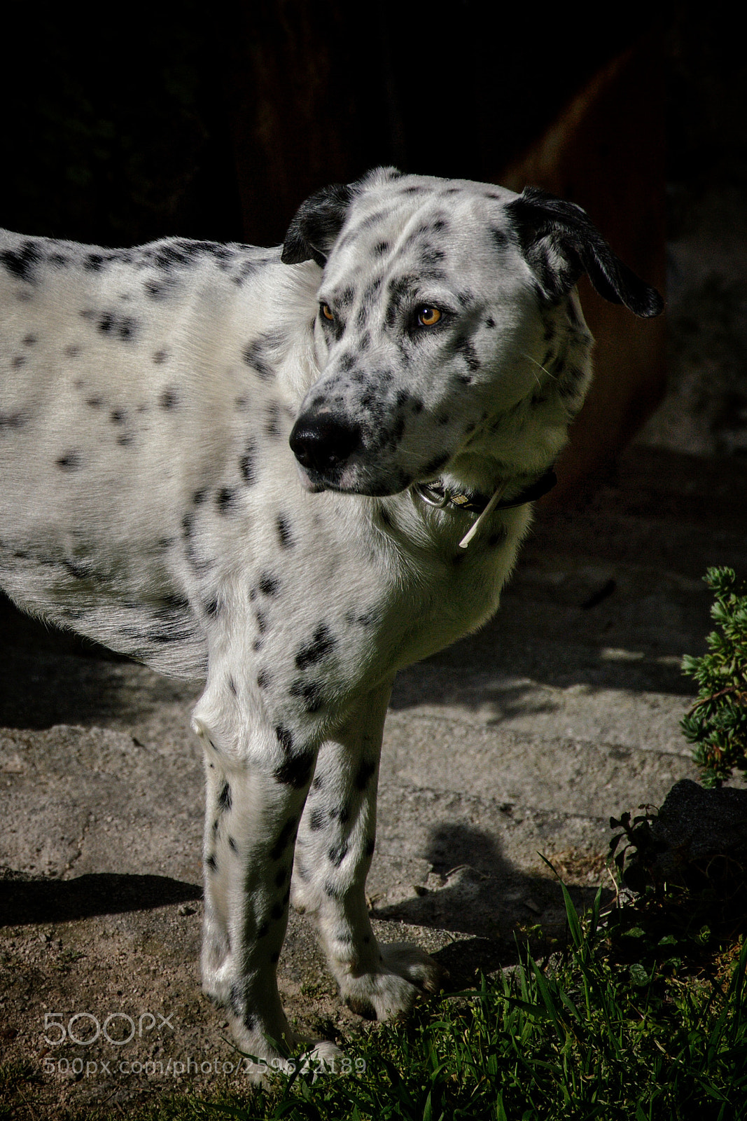 Nikon D3200 sample photo. Untitled photography
