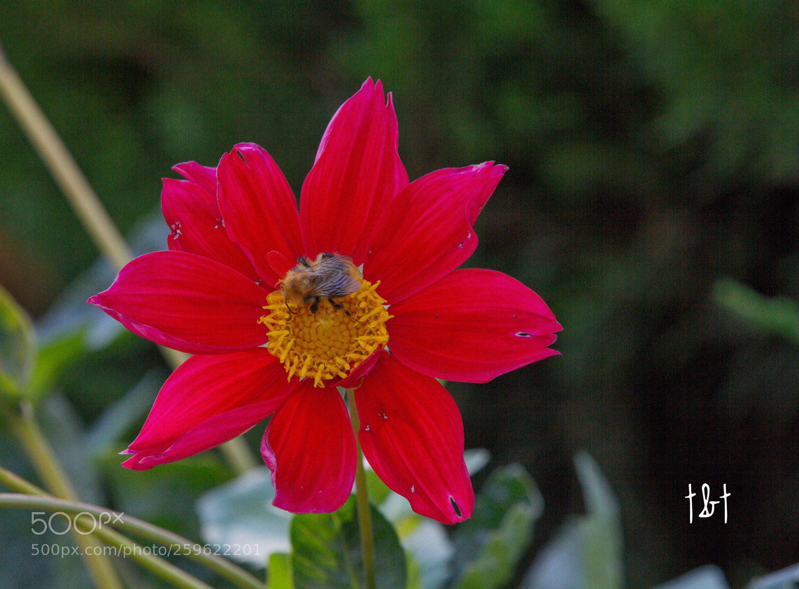 Canon EOS 7D sample photo. Untitled photography