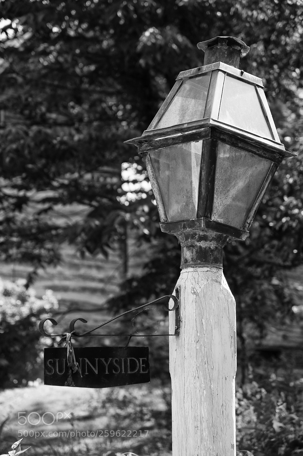 Nikon D850 sample photo. Waterford virginia loudoun county photography