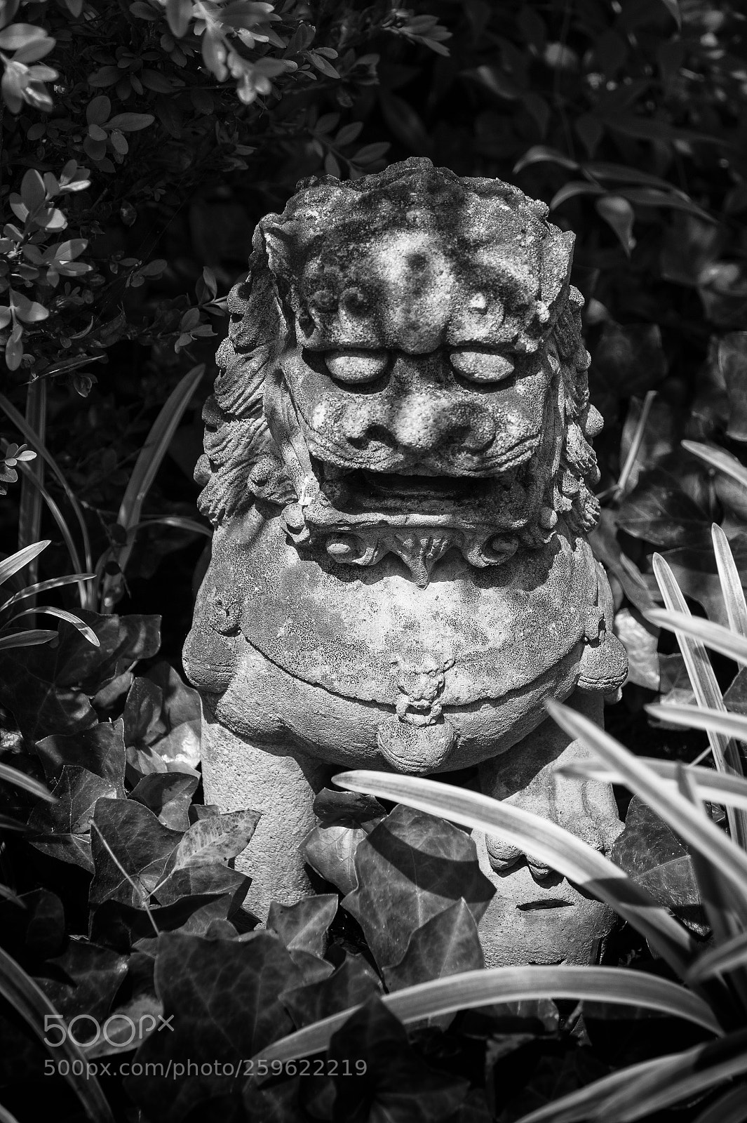 Nikon D850 sample photo. Waterford virginia loudoun county photography