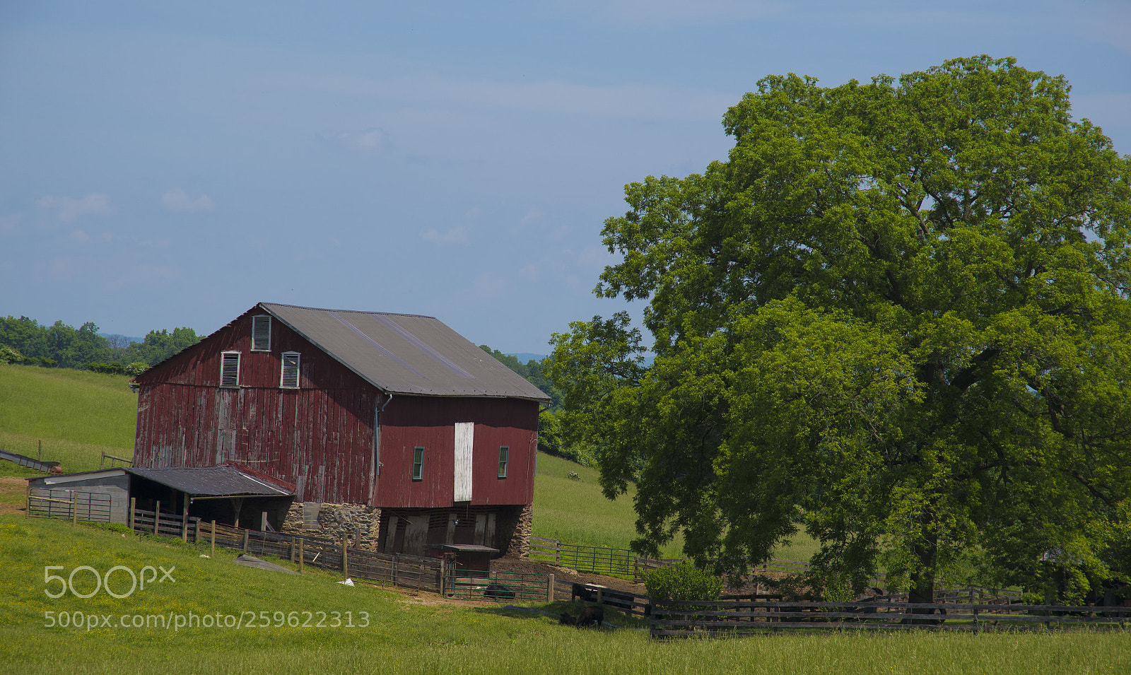 Nikon D850 sample photo. Waterford virginia loudoun county photography