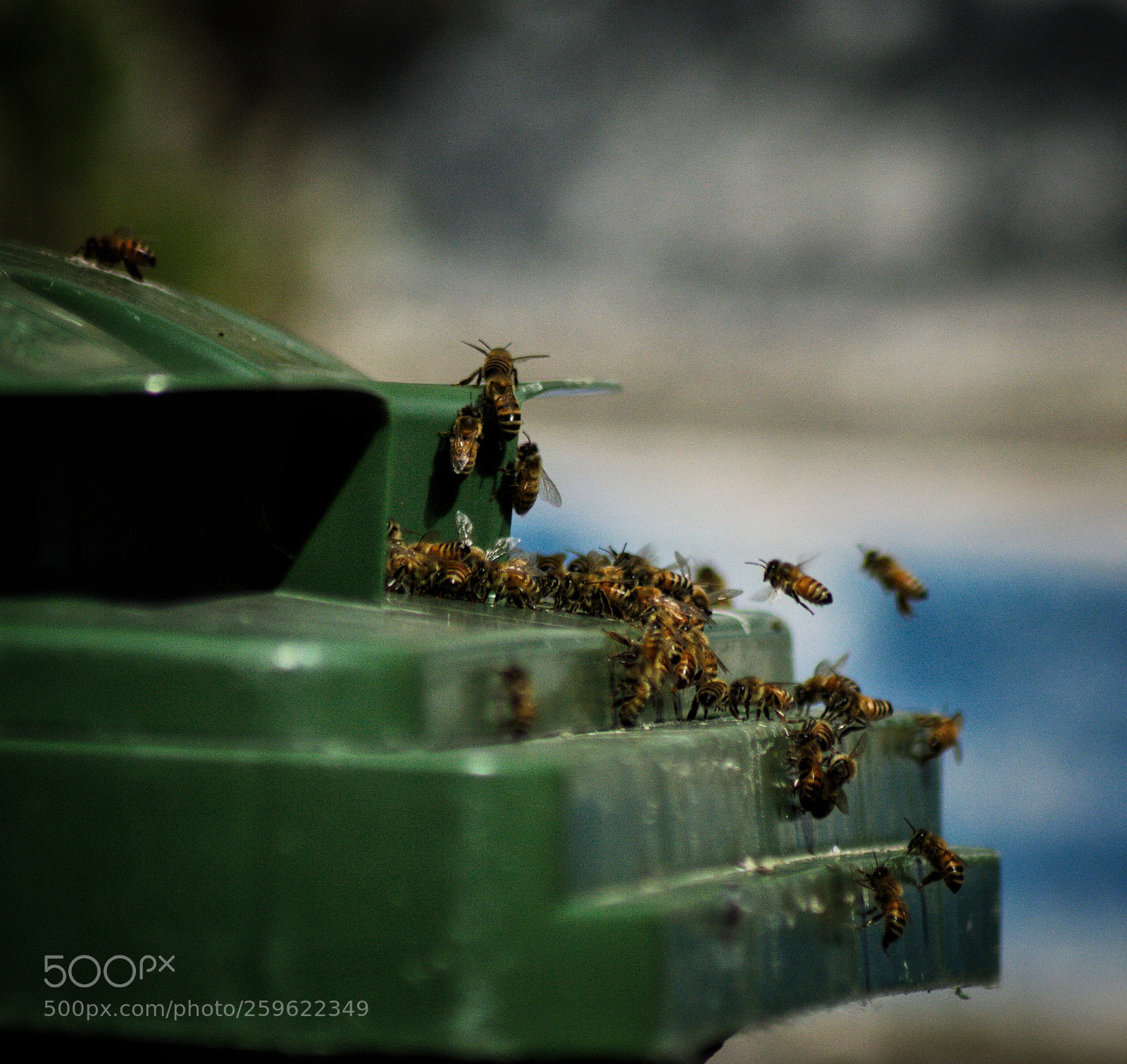 Nikon D3200 sample photo. Untitled photography