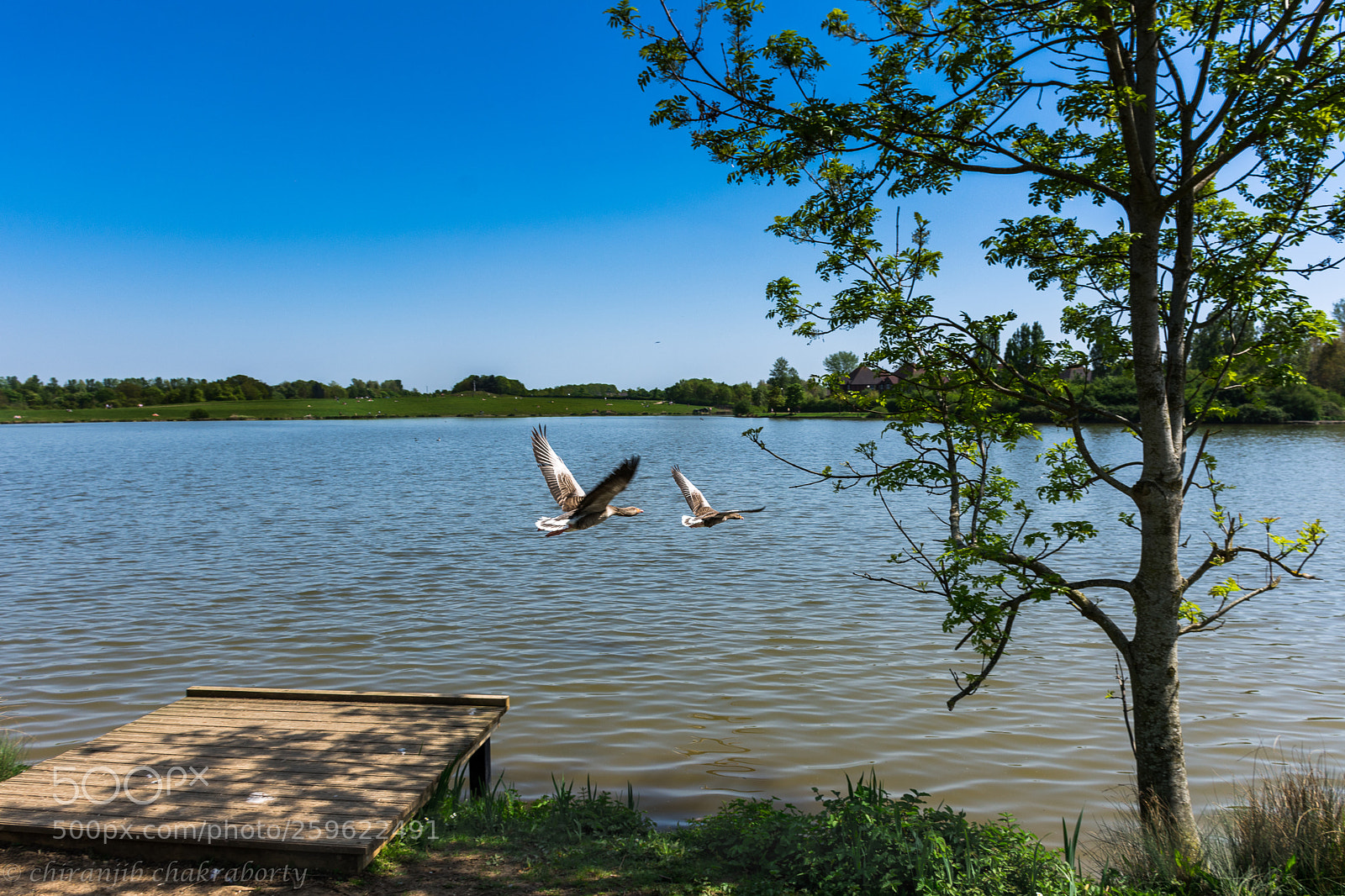 Nikon D7200 sample photo. I am free photography