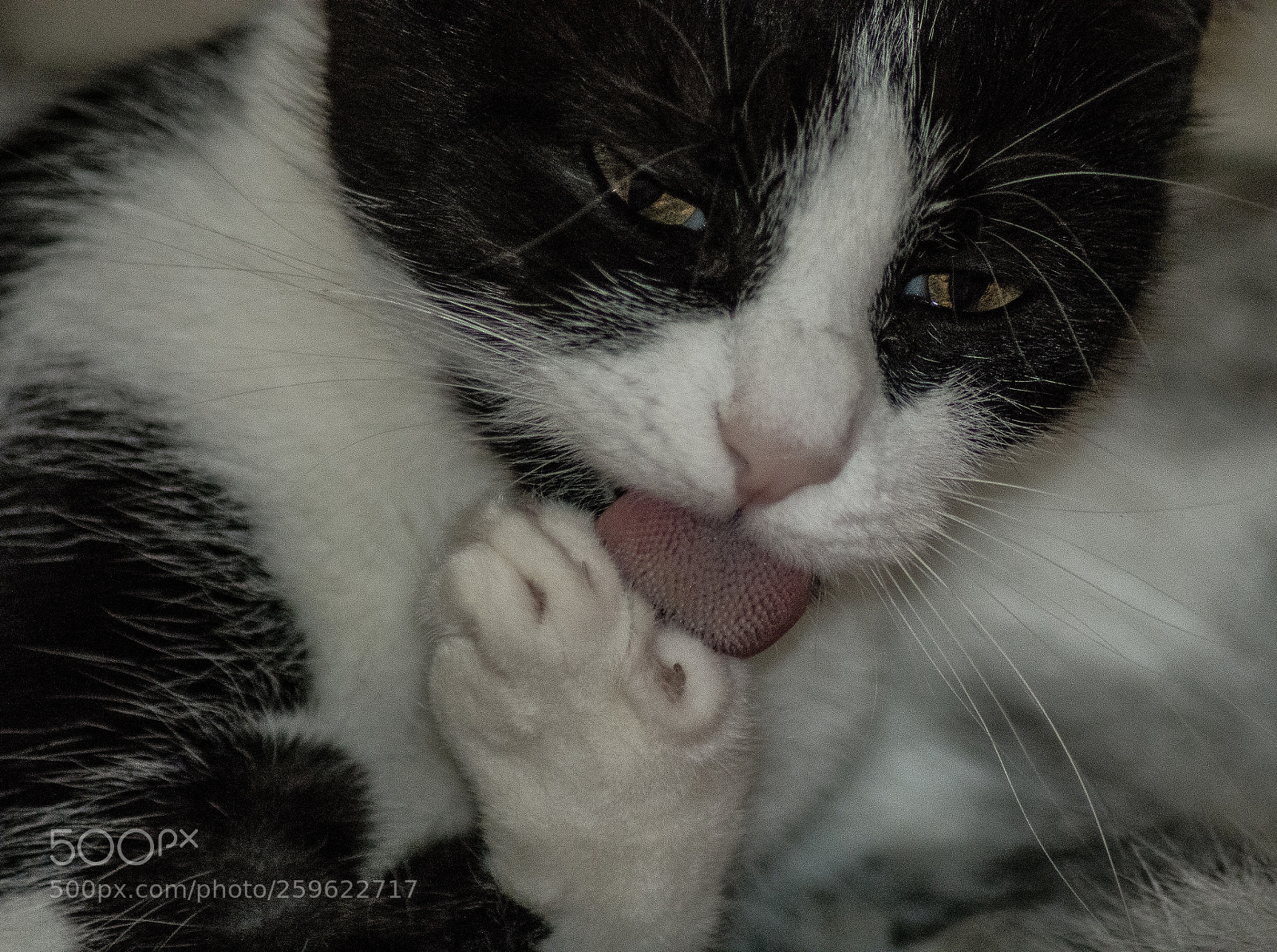 Nikon D7200 sample photo. Untitled photography