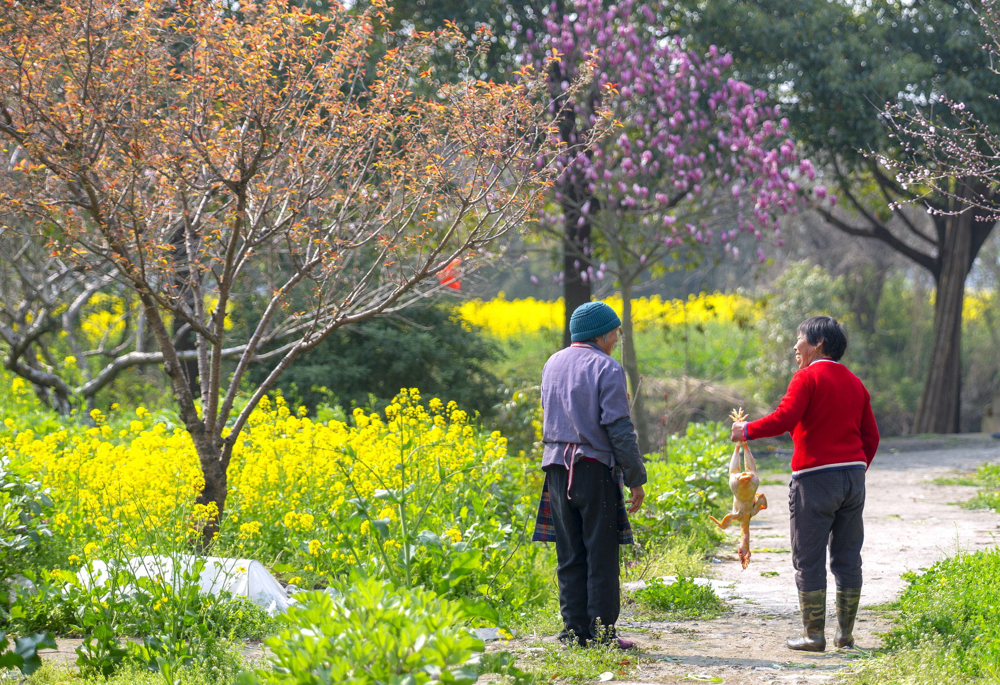 Sony a99 II sample photo. 邻居间 photography