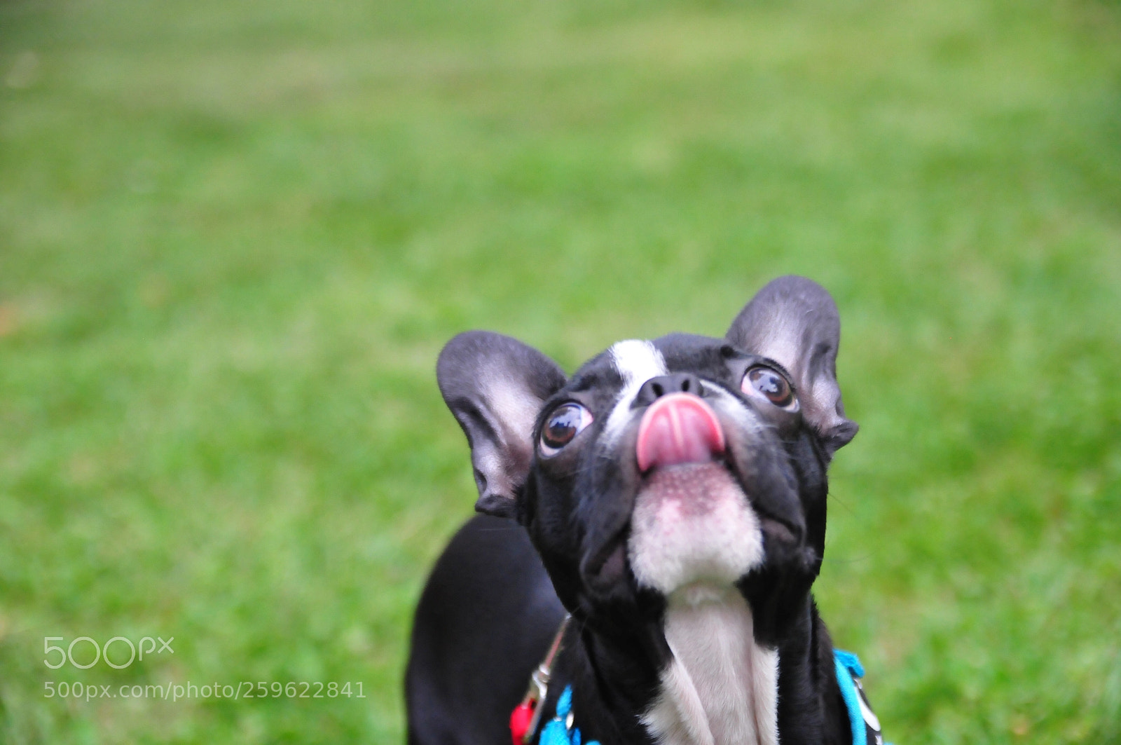 Nikon D300S sample photo. Untitled photography