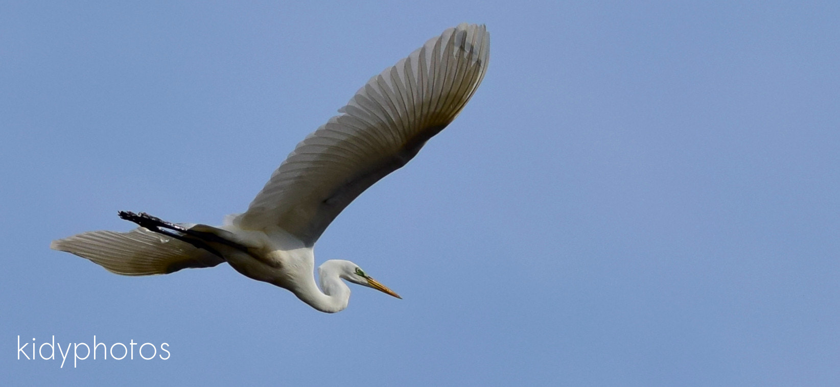 Nikon D5300 sample photo. In the air photography