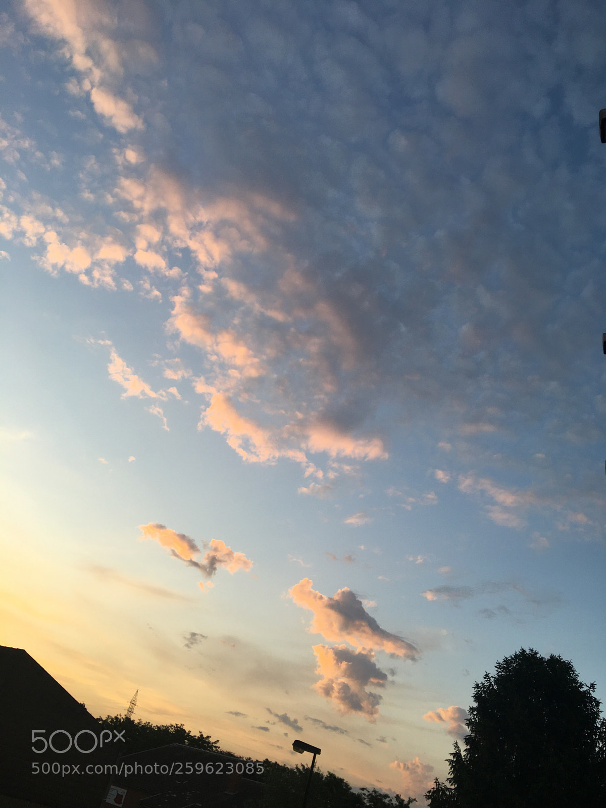 Apple iPhone 6s Plus sample photo. Untitled photography