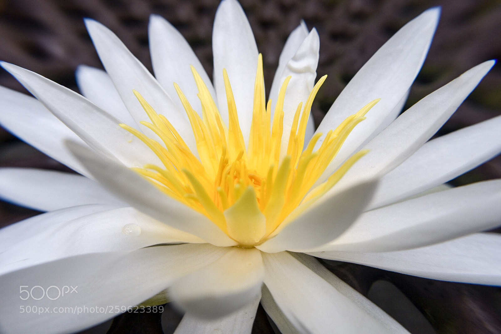 Nikon D3400 sample photo. Untitled photography