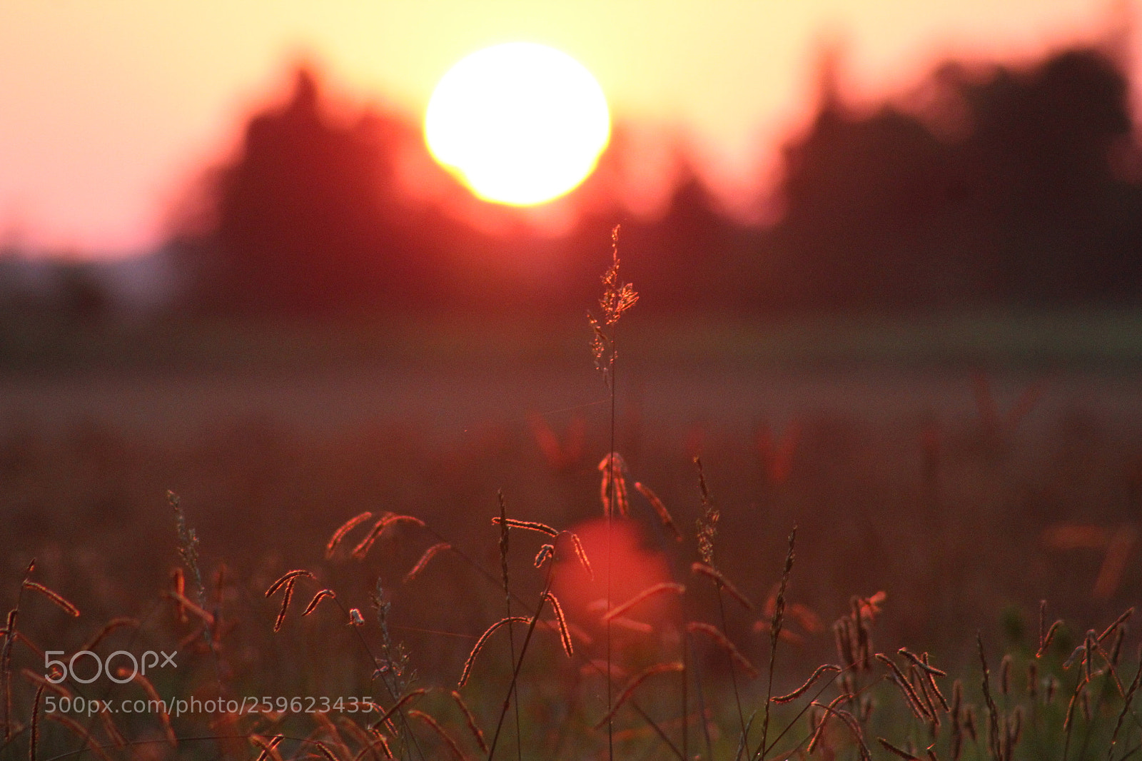 Canon EF 75-300mm f/4-5.6 sample photo. Dawn photography